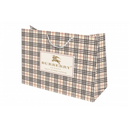 BURBERRY 43x34x15