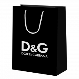 DOLCE & GABBANA 15x23.5x8.5