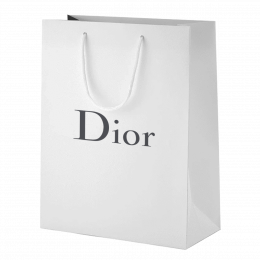 DIOR 15x23.5x8.5