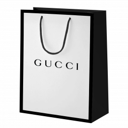 GUCCI 15x23.5x8.5