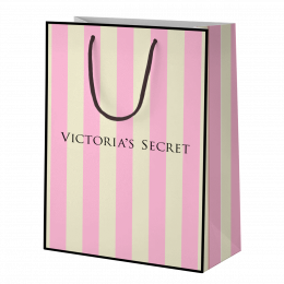 VICTORIA'S SECRET 22x12,5x8,5