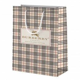 BURBERRY 15x23.5x8.5